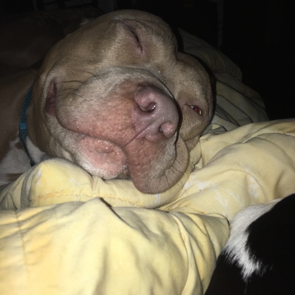 Meet your Posher, Natalie - Picture 1 of 1